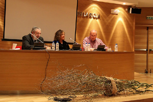 museo wurth